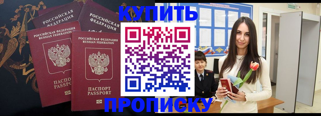 прописка гарантия в Порхове